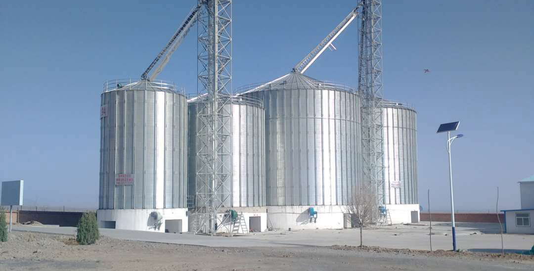 恭喜我公司網站成功上線